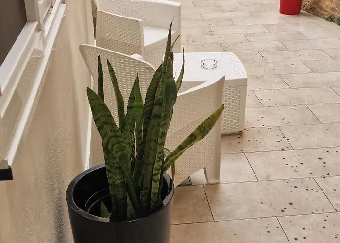 Seafront O'clock Malta Отель типа 